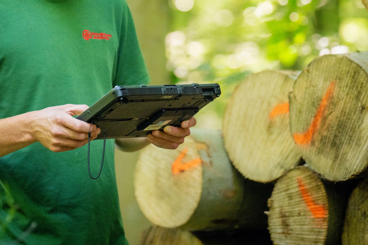 Forestry