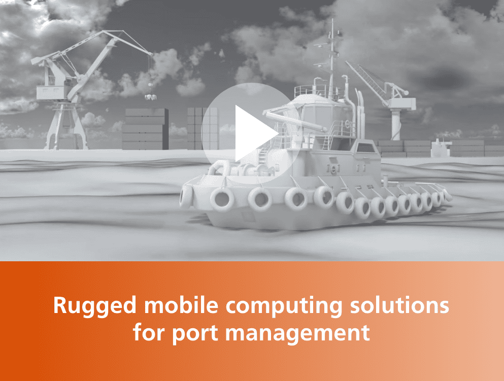 Video-Frame-Port-Management