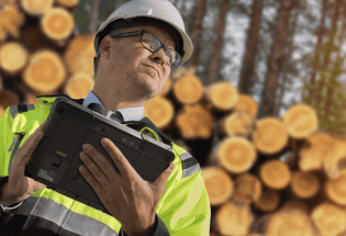 Understanding Vegetation Management and its Impact on Utilities Sector