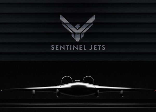 SENTINEL FLIGHT SERVICES