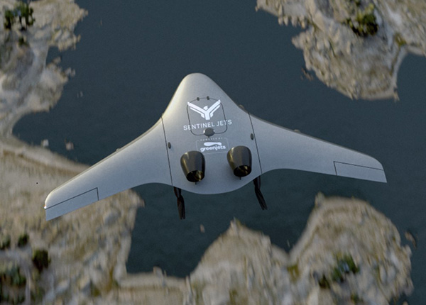 SENTINEL FLIGHT SERVICES