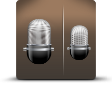 Icon_Dual Microphones