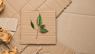 Green leaves and crumpled paper on carton, top view with space f