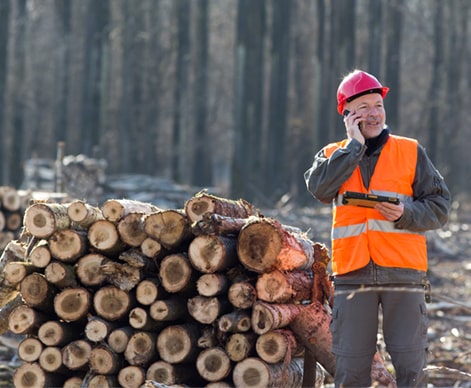 GIS Mapping and Forest Management