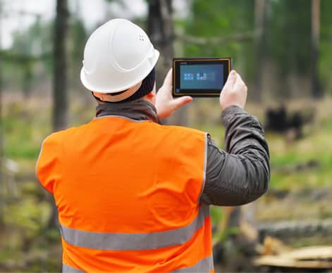 GIS Mapping and Forest Management