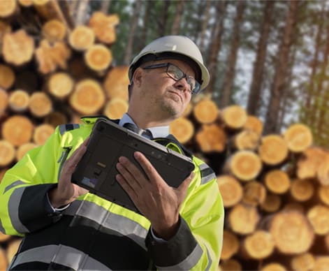 Timber Cruising for Lumber Management