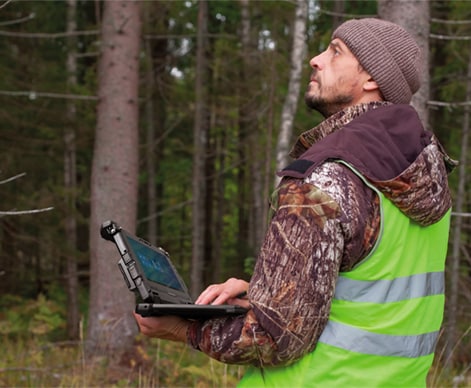 GIS Mapping and Forest Management