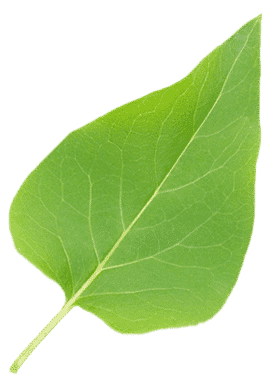 Environmental Certifications