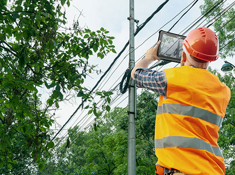 Utility Vegetation Management